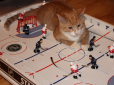Рудий кіт-хокеїст став зіркою мережі (відео)