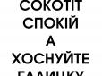 Галичани вміють лаятися й без російських матюків