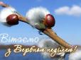 За тиждень - Великдень! Що дозволяється робити у Вербну неділю і чого не бажано